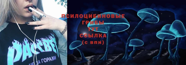 не бодяженный Алексин