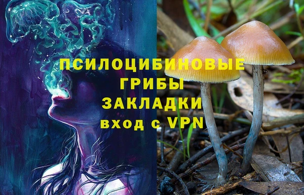 марки lsd Алзамай